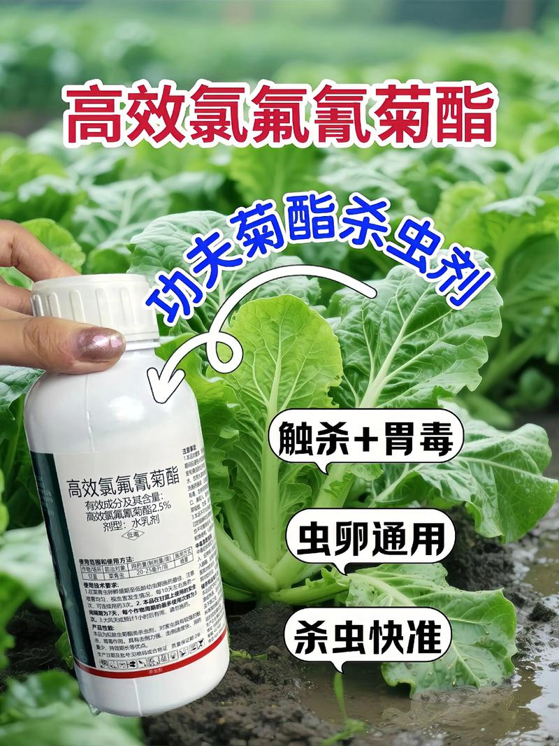 承德代生中心:农药对供卵代生妈妈的危害